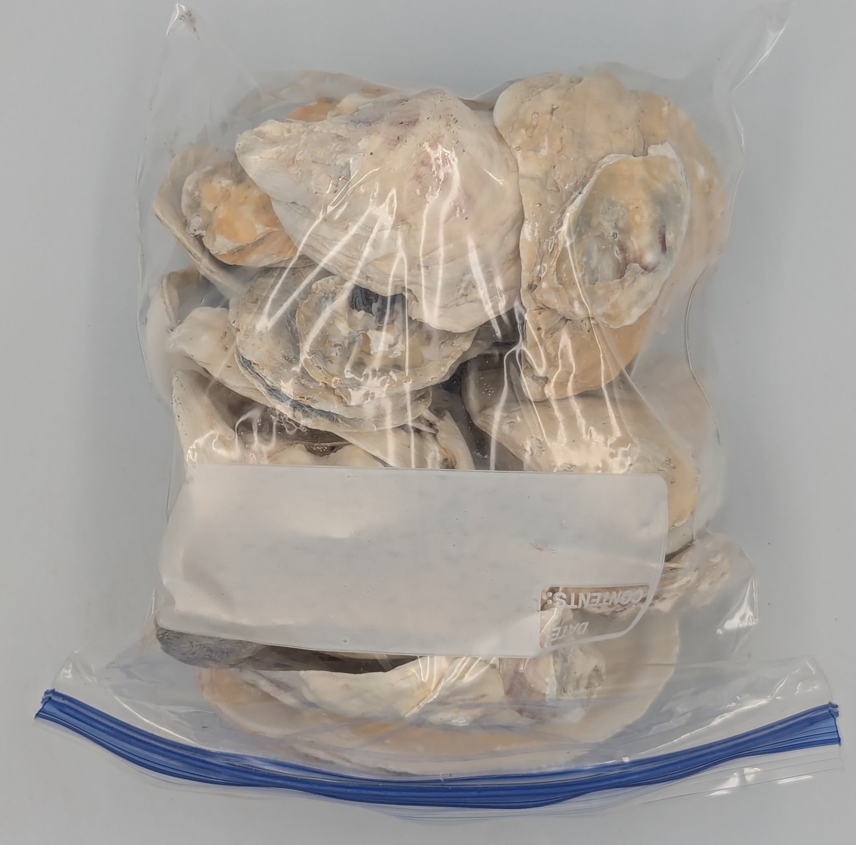 Yup oyster shells.