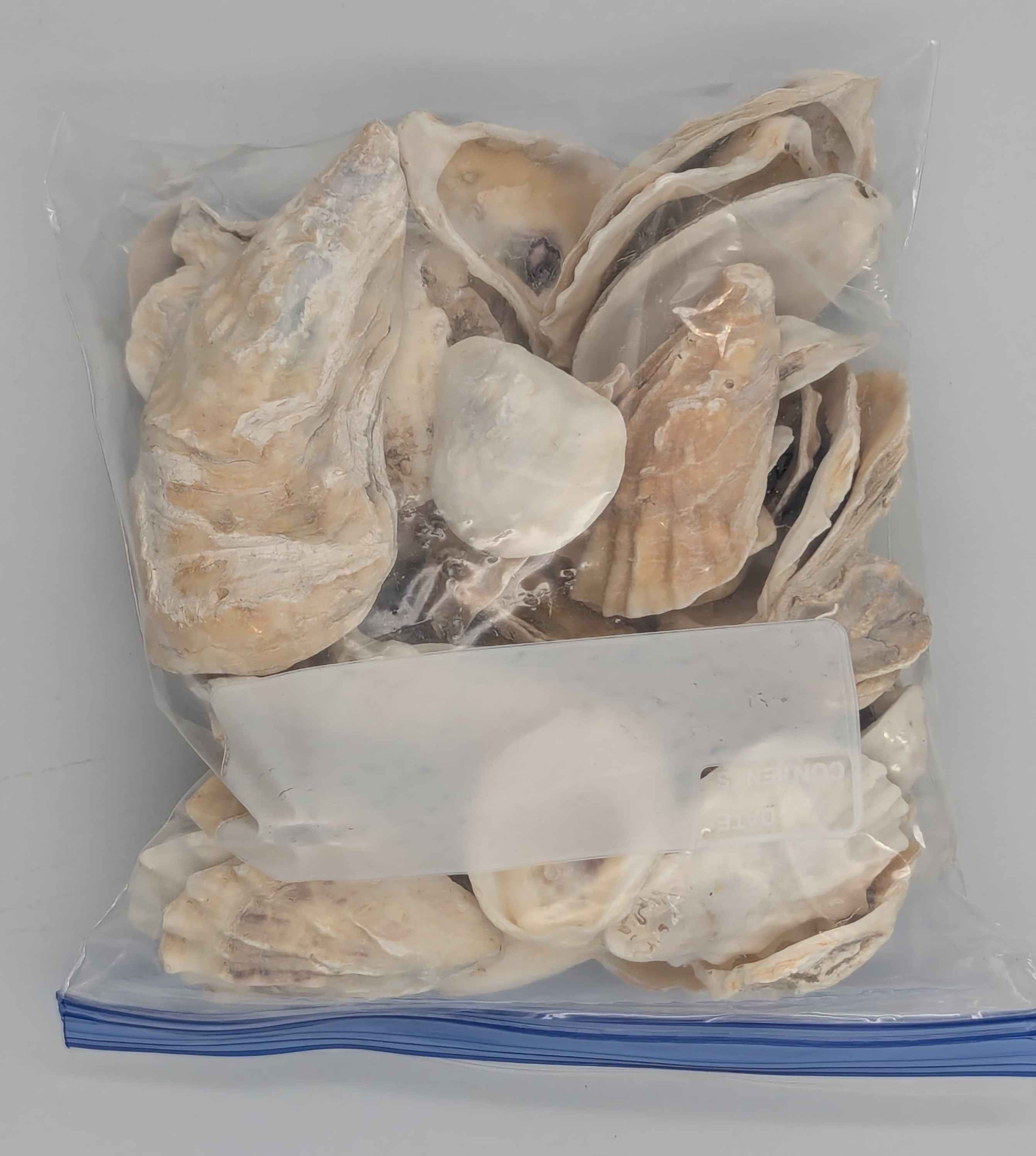 Yup oyster shells.