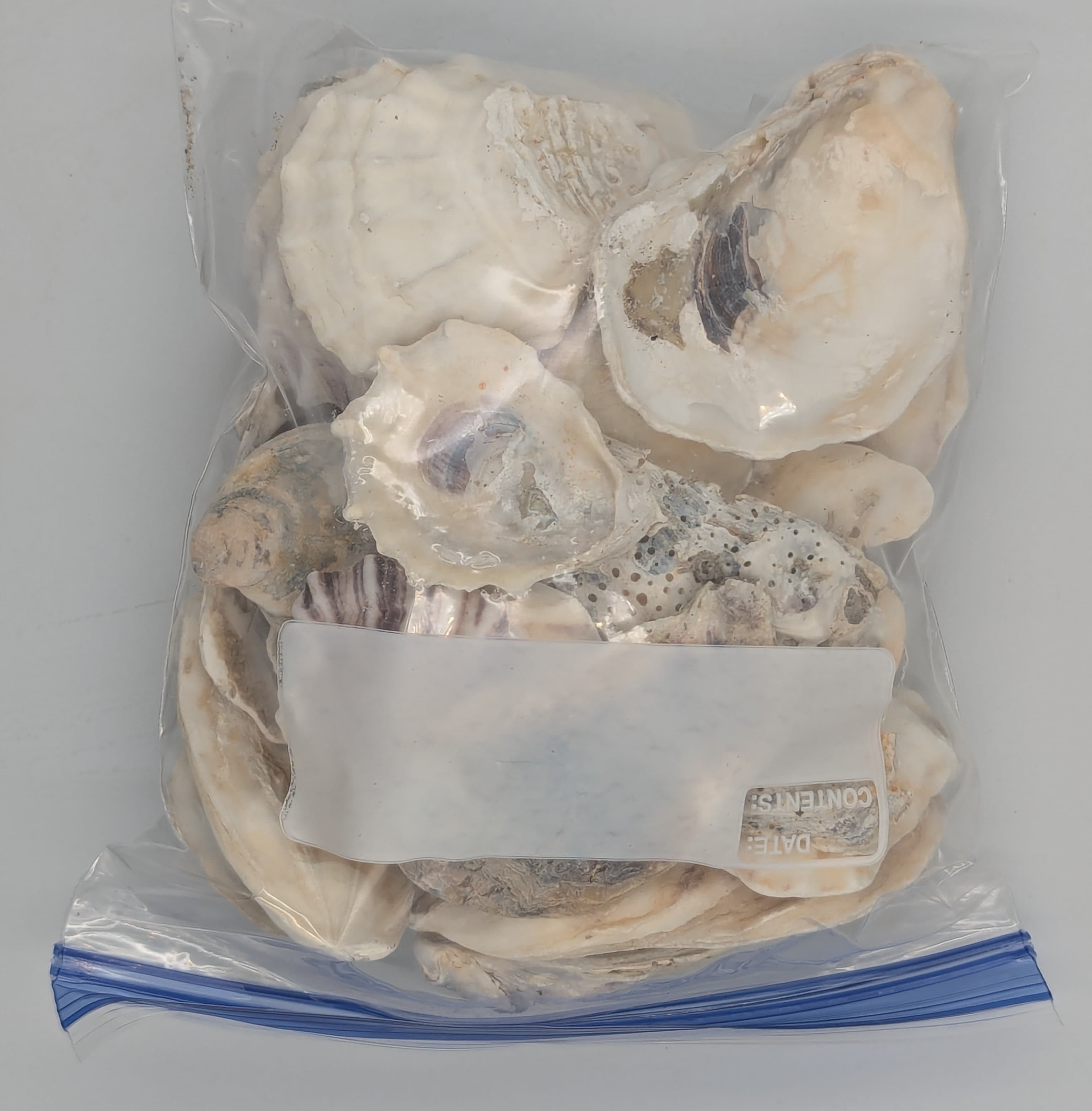 Yup oyster shells.