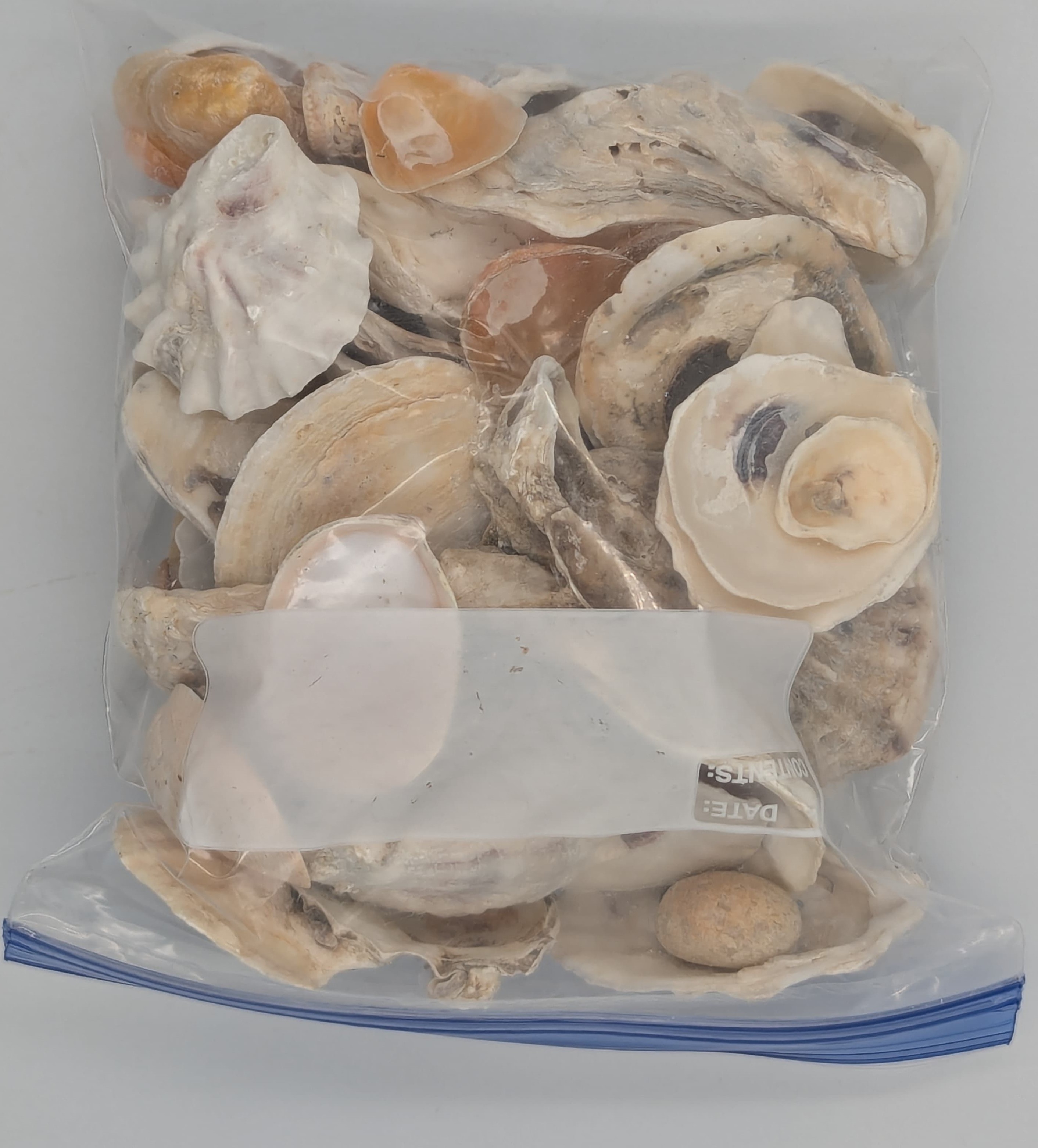 Yup oyster shells.